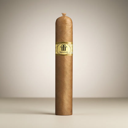 Trinidad Vigía